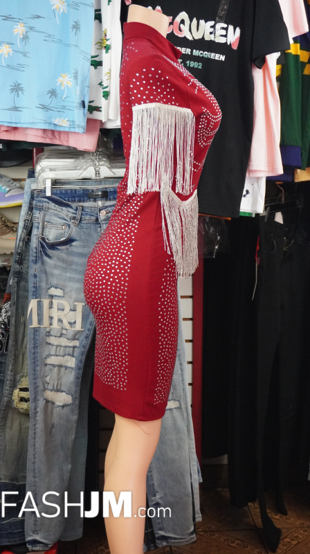  Burgundy Dress image1